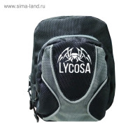  Lycosa,  , -