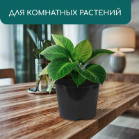   , 15 , D=34 , H=22 , , Greengo