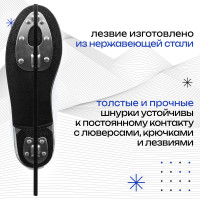   Winter Star Basic, . 41