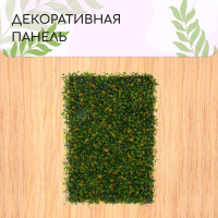  , 60   40 ,  , Greengo
