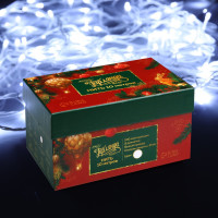   10 , Ip44,  , 100 Led,  , 8 , 220 