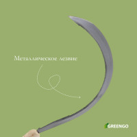  , 16 (40.6 ),   2 ,  , Greengo