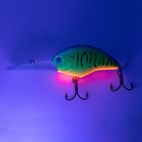  Namazu Hippocampus L-60 , 18 , , , 2.5 - 4.5 ,  7