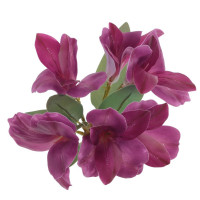 ������ ������������� ������������, L12 W12 H62 ��