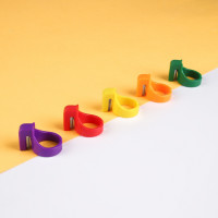 ������ ��� ������� ����, ����