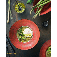     Wilmax Splash, 250 , D=27 ,  