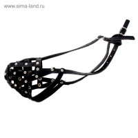      2, , (   9.5 ,   28 )