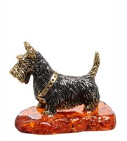 Am-1843 ������� ����� ������ (������, ������)