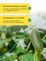    , , 10 2 ,  15 15 , Greengo