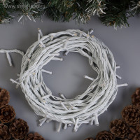   10 , Ip44, ,  , 100 Led,   , 220 