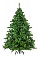   Triumph Tree ()  260 