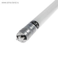   Rev Led, 8, 10 , G13, 4000 , 600 ,  