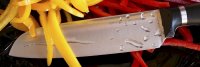   Opinel 219 Vri Intempora Santoku 