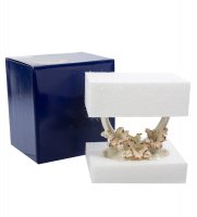 Cms-10/17    (pavone)