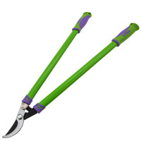 2   , 700 ,  , Palisad