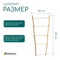 , 60 20 1 , , , Greengo