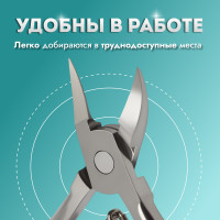  ,   ,  , 13 ,  -17 , , 