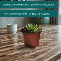   , 360 , D=10.5 , H=8 ,  , , Greengo