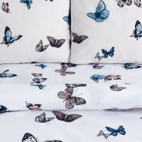 ���������� ����� 1.5-�������� ������. ���������, ����