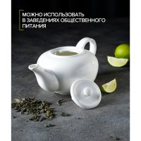    Magistro , 1 ,  