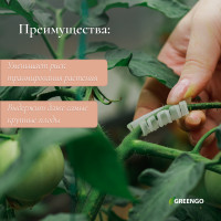  , 4 ,  50 ., Greengo