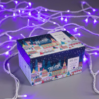   10 , Ip44,  , 100 Led,  , 8 , 220 