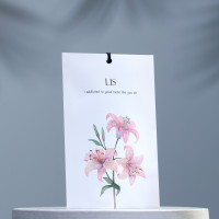 ��������� "Lis"