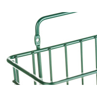 ����� �������������