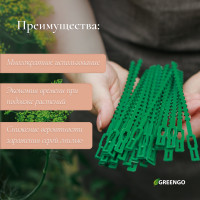   ,  13 ,  50 ., Greengo
