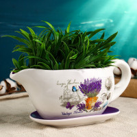       :  ,  , 1.1 , 25 11 11 , -