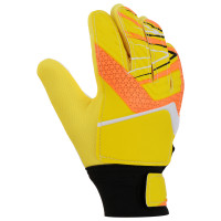 �������� ���������� Onlytop, �. 6, ���� �����