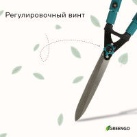 , 31 44,5 (79 113 ), ,    , Greengo