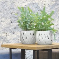    Prosperplast Sandy Bowl Basic 1,4, 