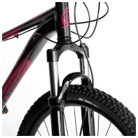  26" Stinger Laguna Evo,  , . 15"