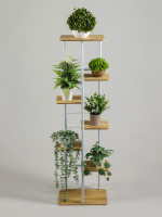    Greengo, 7 , 36 23 120 , ,  ,  , 