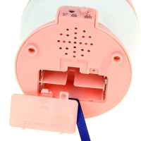 -  , , (4  Usb)  12 10  Risalux