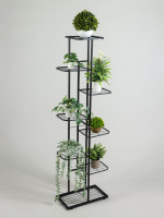    Greengo, 8 , 43 22 141 , , , 