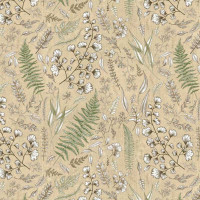    Hausmann Herbarium 60x50x36 
