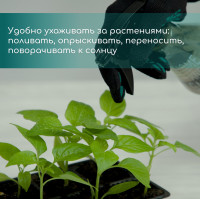   , 4   180 , , , 18   13   6 ,  10 ., Greengo