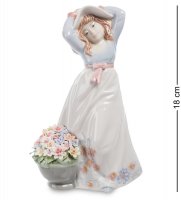 Cms-20/ 9     (pavone)