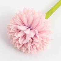 ����� ���������, ����������, �������, ����� �����, ������� ���� 1 �� ��������� ��������