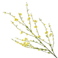 ����� �������������, L35 W4 H114 ��