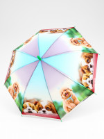  -   , , 8 , R=41/47 , D=82 , 