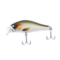 ������ ����. Lj Pro Series Anira Sp, 4.9 ��, ���� 703