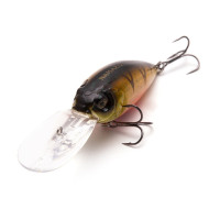  Namazu Willsy, L-75 , 22 , , , 4.0-6.0 ,  17