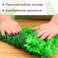  , 25 25 ,  , Greengo