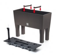    72  Rato Case High - 