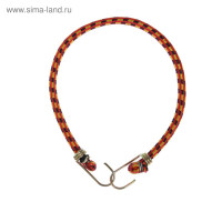     Torso, 60 , D10 ,  , 