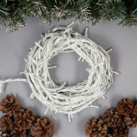   10 , Ip44, ,  , 100 Led,  , 220 