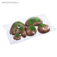  ,  , ,  6 ., , Greengo